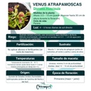 VENUS ATRAPAMOSCAS / CARNIVORA
