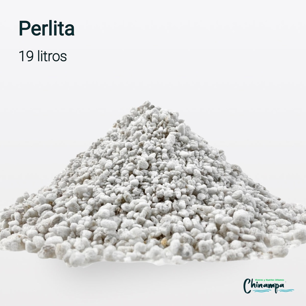 PERLITA GRANO MEDIO